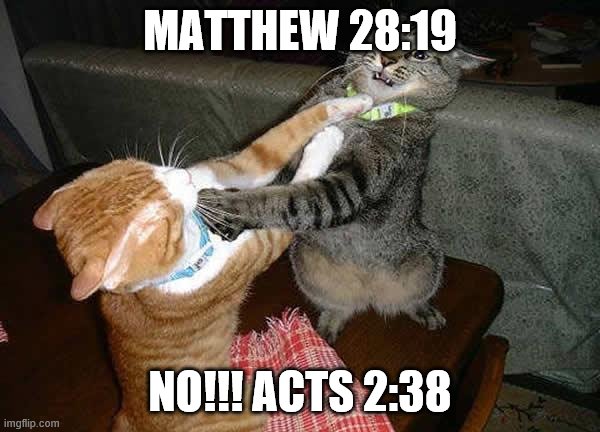 The Formula | MATTHEW 28:19; NO!!! ACTS 2:38 | image tagged in two cats fighting for real | made w/ Imgflip meme maker