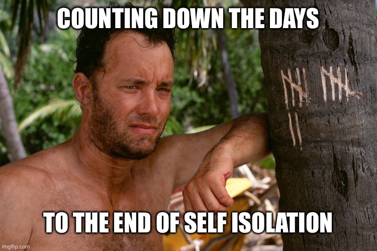COUNTING DOWN THE DAYS; TO THE END OF SELF ISOLATION | image tagged in coronavirus,tom hanks coronavirus | made w/ Imgflip meme maker