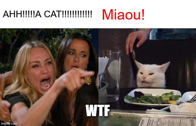 Woman Yelling At Cat | AHH!!!!!A CAT!!!!!!!!!!!! Miaou! WTF | image tagged in memes,woman yelling at cat | made w/ Imgflip meme maker