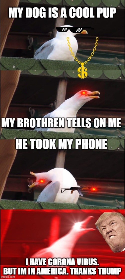 Inhaling Seagull Meme | MY DOG IS A COOL PUP; MY BROTHREN TELLS ON ME; HE TOOK MY PHONE; I HAVE CORONA VIRUS.
BUT IM IN AMERICA. THANKS TRUMP | image tagged in memes,inhaling seagull | made w/ Imgflip meme maker