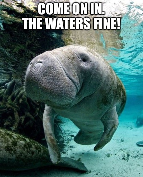 COME ON IN. THE WATERS FINE! | made w/ Imgflip meme maker