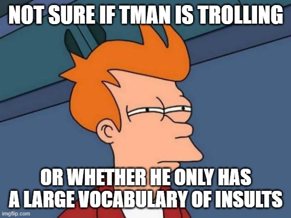 Futurama Fry Meme | NOT SURE IF TMAN IS TROLLING; OR WHETHER HE ONLY HAS A LARGE VOCABULARY OF INSULTS | image tagged in memes,futurama fry | made w/ Imgflip meme maker