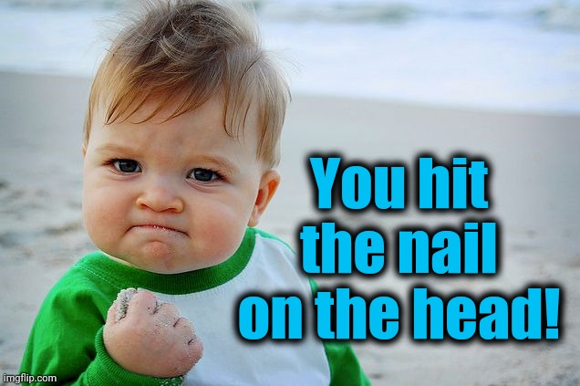 Success Kid / Nailed It Kid | You hit the nail on the head! | image tagged in success kid / nailed it kid | made w/ Imgflip meme maker