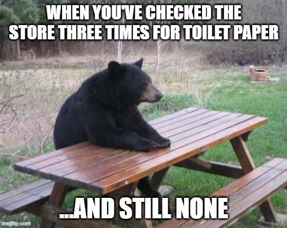 Bad Luck Bear Meme | WHEN YOU'VE CHECKED THE STORE THREE TIMES FOR TOILET PAPER; ...AND STILL NONE | image tagged in memes,bad luck bear | made w/ Imgflip meme maker