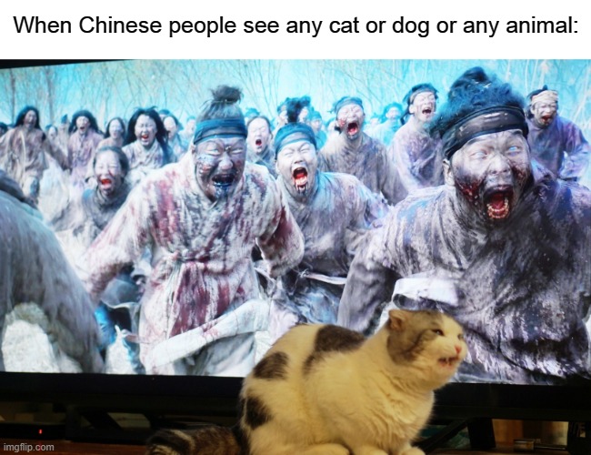 Vampires | When Chinese people see any cat or dog or any animal: | image tagged in vampires | made w/ Imgflip meme maker