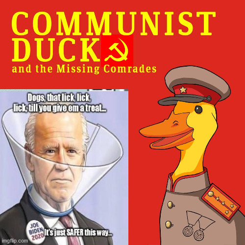 Biden, a Communist Duckling | image tagged in election,bernie sanders,2020 trump,trump | made w/ Imgflip meme maker