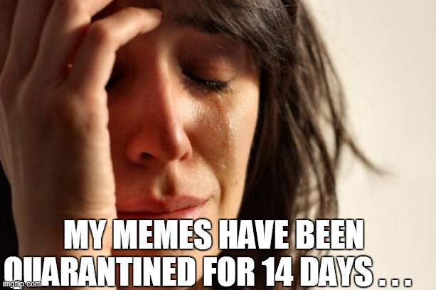First World Problems Meme | MY MEMES HAVE BEEN QUARANTINED FOR 14 DAYS . . . | image tagged in funny,funny memes,funny meme,bad puns,too funny,coronavirus | made w/ Imgflip meme maker
