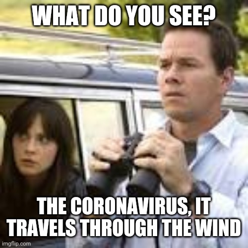 WHAT DO YOU SEE? THE CORONAVIRUS, IT TRAVELS THROUGH THE WIND | image tagged in coronavirus | made w/ Imgflip meme maker