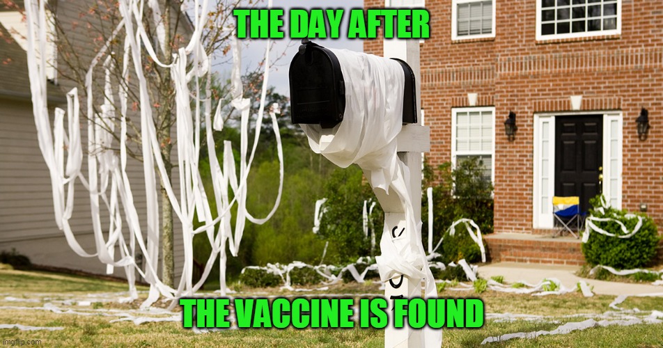 I think it could be a national holiday - TP Day | THE DAY AFTER; THE VACCINE IS FOUND | image tagged in guess what i am sick of | made w/ Imgflip meme maker