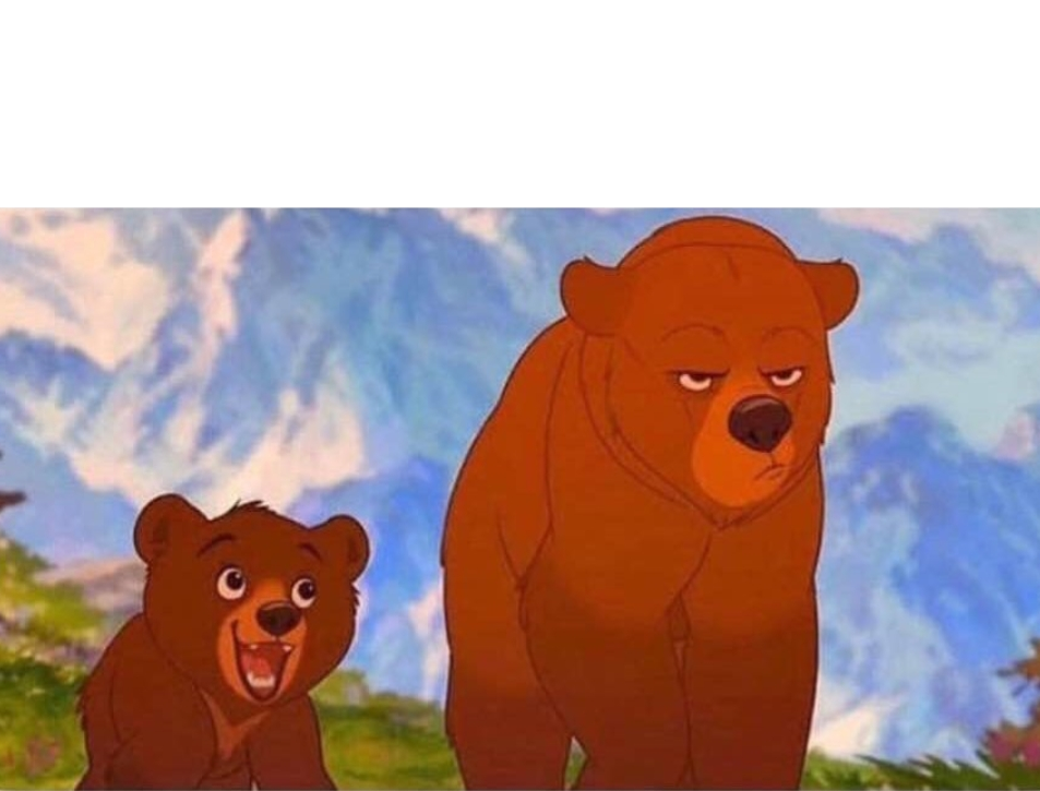 High Quality Bears Blank Meme Template