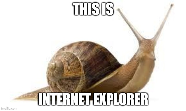 THIS IS INTERNET EXPLORER | image tagged in snail | made w/ Imgflip meme maker