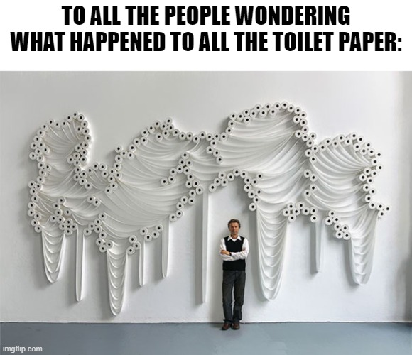 The Rolls of Honour |  TO ALL THE PEOPLE WONDERING WHAT HAPPENED TO ALL THE TOILET PAPER: | image tagged in memes,funny memes,coronavirus,toilet paper,no more toilet paper,sixth tag | made w/ Imgflip meme maker
