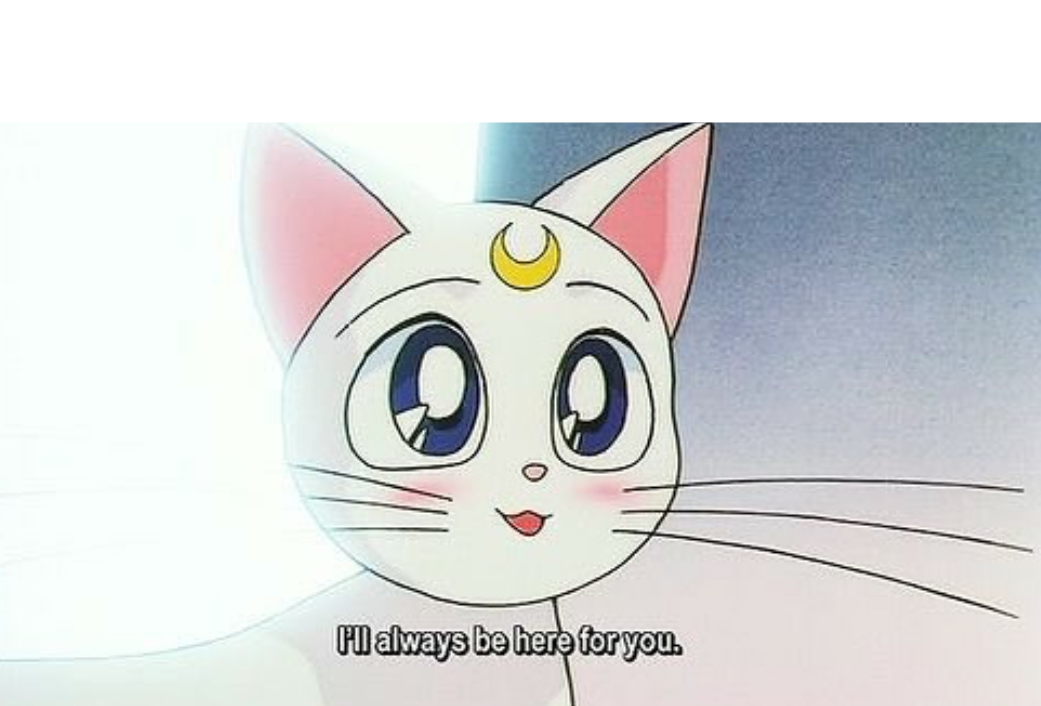 Sailor Moon Blank Meme Template