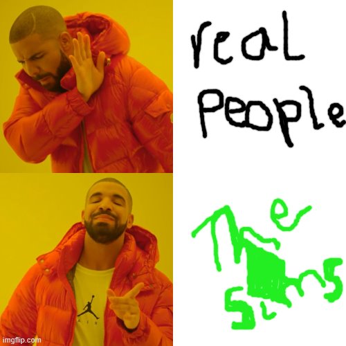 gotta love the sims better then real people | image tagged in memes,drake hotline bling | made w/ Imgflip meme maker