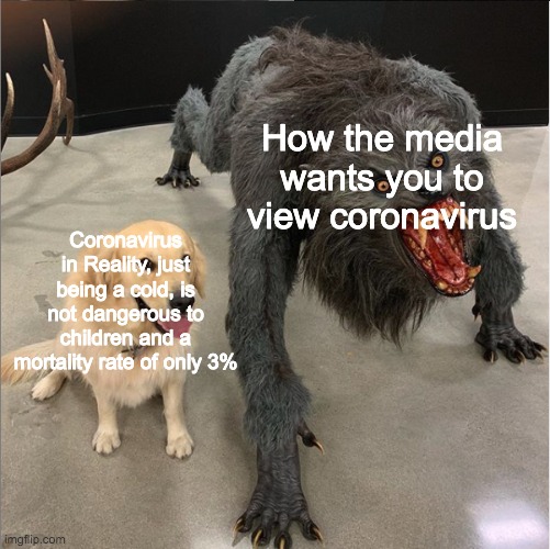 dog vs werewolf | How the media wants you to view coronavirus; Coronavirus in Reality, just being a cold, is not dangerous to children and a mortality rate of only 3% | image tagged in dog vs werewolf | made w/ Imgflip meme maker