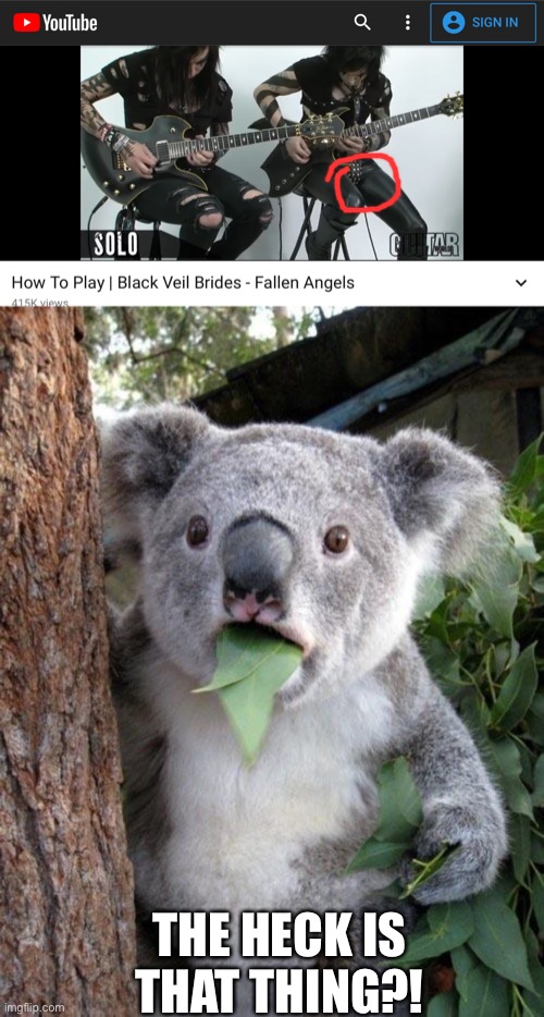  THE HECK IS THAT THING?! | image tagged in suprised koala | made w/ Imgflip meme maker