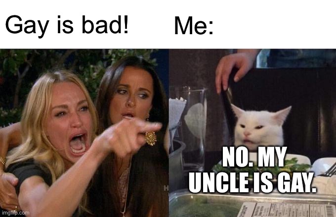 Gay is bad! Me: NO. MY UNCLE IS GAY. | image tagged in memes,woman yelling at cat | made w/ Imgflip meme maker