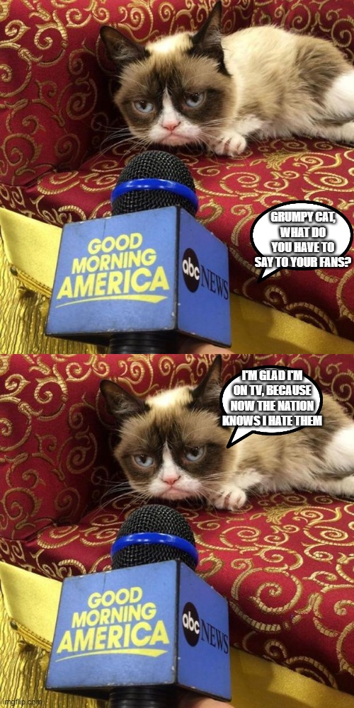 GRUMPY CAT, WHAT DO YOU HAVE TO SAY TO YOUR FANS? I'M GLAD I'M ON TV, BECAUSE NOW THE NATION KNOWS I HATE THEM | image tagged in grumpy cat news | made w/ Imgflip meme maker