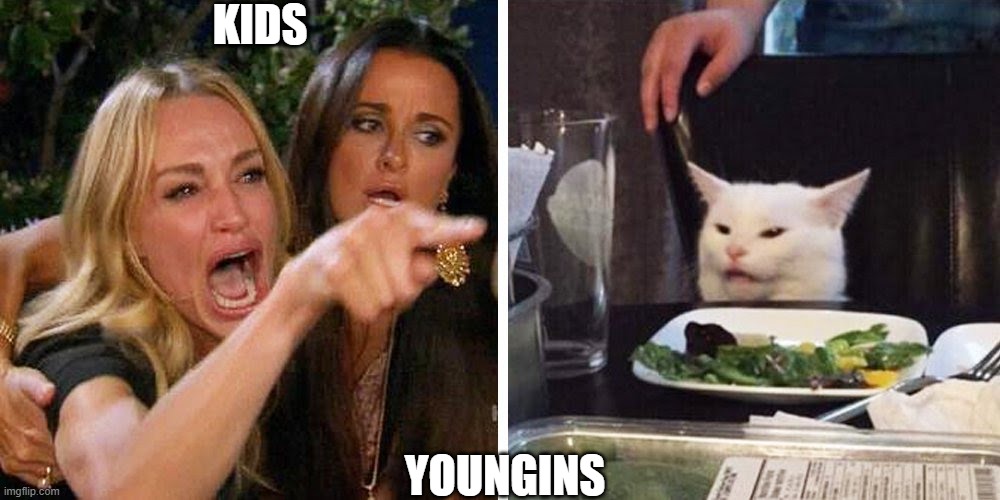 Smudge the cat | KIDS; YOUNGINS | image tagged in smudge the cat | made w/ Imgflip meme maker