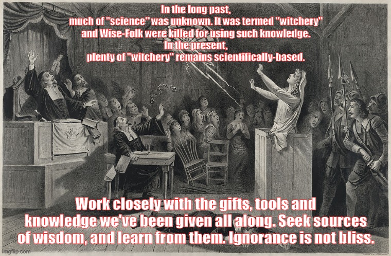 Salem Witch Trial | In the long past,
much of "science" was unknown. It was termed "witchery"
and Wise-Folk were killed for using such knowledge.
In the present,
plenty of "witchery" remains scientifically-based. Work closely with the gifts, tools and knowledge we've been given all along. Seek sources of wisdom, and learn from them. Ignorance is not bliss. | image tagged in salem witch trial | made w/ Imgflip meme maker