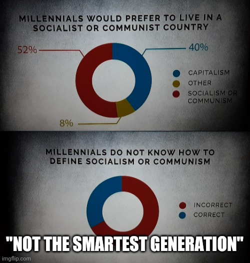 We should seriously stop calling them millenials. | "NOT THE SMARTEST GENERATION" | image tagged in millennials,socialism,communism,capitalism,generation | made w/ Imgflip meme maker