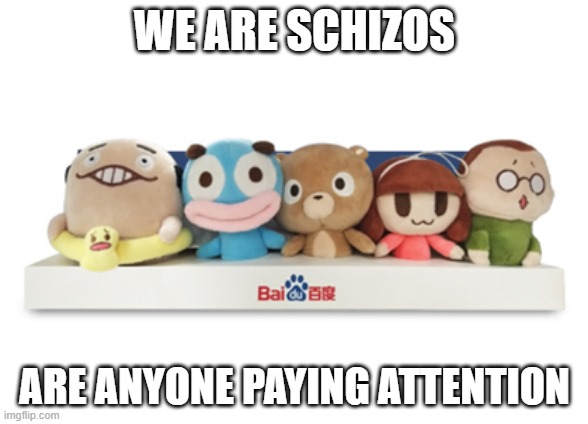 WE ARE SCHIZOS; ARE ANYONE PAYING ATTENTION | made w/ Imgflip meme maker