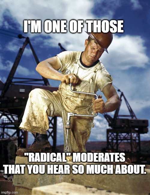 Construction Worker | I'M ONE OF THOSE; "RADICAL" MODERATES THAT YOU HEAR SO MUCH ABOUT. | image tagged in construction worker | made w/ Imgflip meme maker