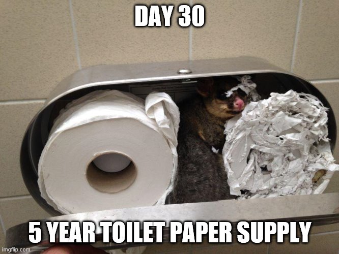 DAY 30; 5 YEAR TOILET PAPER SUPPLY | image tagged in funny | made w/ Imgflip meme maker