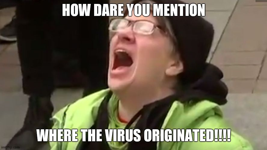 Screaming Liberal  | HOW DARE YOU MENTION WHERE THE VIRUS ORIGINATED!!!! | image tagged in screaming liberal | made w/ Imgflip meme maker