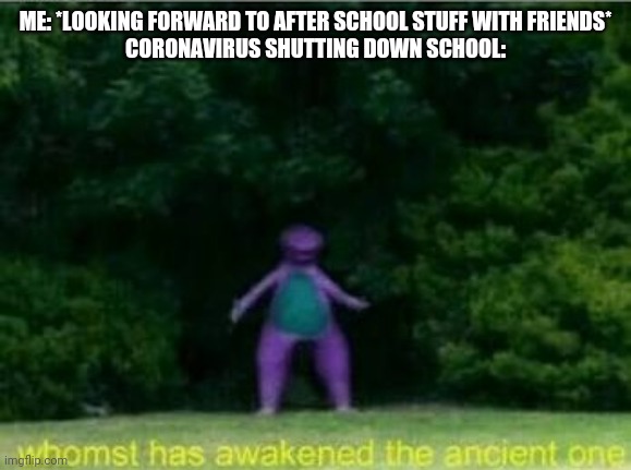 Whomst has awakened the ancient one | ME: *LOOKING FORWARD TO AFTER SCHOOL STUFF WITH FRIENDS*
CORONAVIRUS SHUTTING DOWN SCHOOL: | image tagged in whomst has awakened the ancient one | made w/ Imgflip meme maker