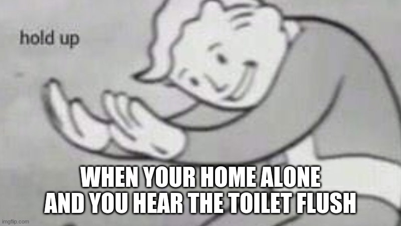 hold up | WHEN YOUR HOME ALONE AND YOU HEAR THE TOILET FLUSH | image tagged in hold up | made w/ Imgflip meme maker