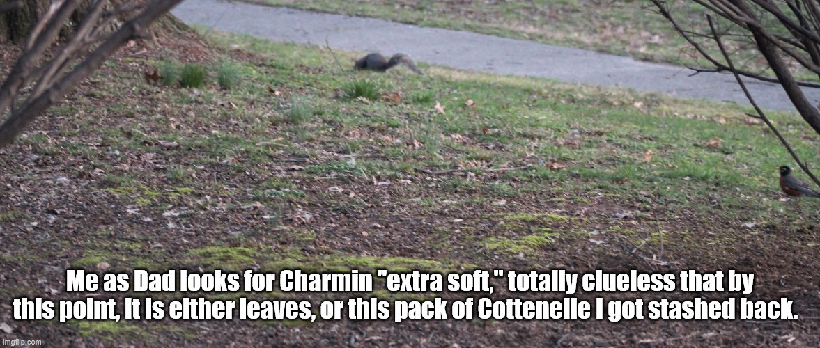 Dad | Me as Dad looks for Charmin "extra soft," totally clueless that by this point, it is either leaves, or this pack of Cottenelle I got stashed back. | image tagged in dad | made w/ Imgflip meme maker