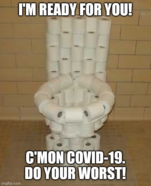 When you realize that toilet paper has NOTHING to do with the Coronavirus but still act proud that you accomplished something! | I'M READY FOR YOU! C'MON COVID-19. DO YOUR WORST! | image tagged in toilet paper toilet,coronavirus,covid-19,toilet paper,funny,memes | made w/ Imgflip meme maker