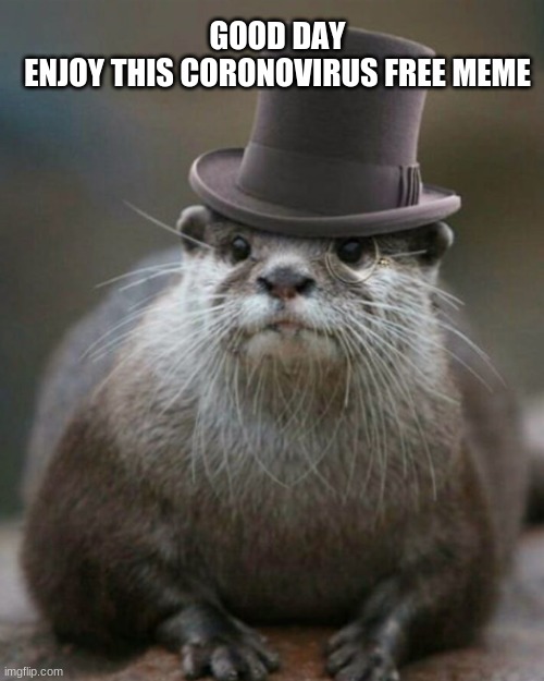GOOD DAY ENJOY THIS CORONOVIRUS FREE MEME | image tagged in otter,meme,no corono | made w/ Imgflip meme maker
