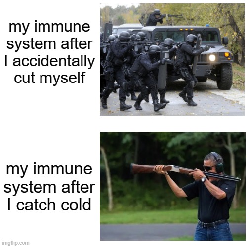 Drake Hotline Bling Meme | my immune system after I accidentally cut myself; my immune system after I catch cold | image tagged in memes,drake hotline bling | made w/ Imgflip meme maker