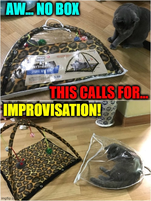 When Life Give You.... | AW... NO BOX; THIS CALLS FOR... IMPROVISATION! | image tagged in vince vance,amazon box man,cat in a box,plastic bag,cats,when life gives you lemons | made w/ Imgflip meme maker