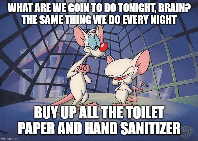 pinky and the brain | WHAT ARE WE GOIN TO DO TONIGHT, BRAIN?
THE SAME THING WE DO EVERY NIGHT; BUY UP ALL THE TOILET PAPER AND HAND SANITIZER | image tagged in pinky and the brain | made w/ Imgflip meme maker