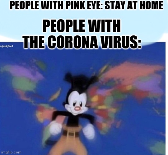 Corona Travel | PEOPLE WITH PINK EYE: STAY AT HOME; PEOPLE WITH THE CORONA VIRUS: | image tagged in united states  canada | made w/ Imgflip meme maker