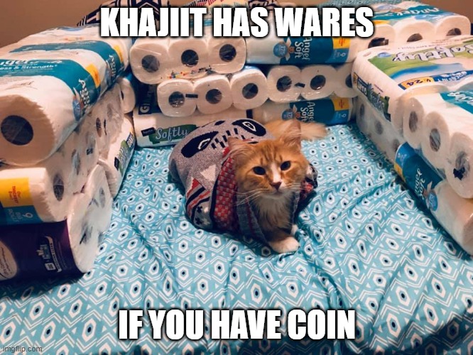 TP Khajiit | KHAJIIT HAS WARES; IF YOU HAVE COIN | image tagged in funny,cat,skyrim,the elder scrolls,elder scrolls,khajiit | made w/ Imgflip meme maker