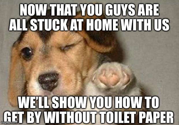 Winking Dog | NOW THAT YOU GUYS ARE ALL STUCK AT HOME WITH US; WE’LL SHOW YOU HOW TO GET BY WITHOUT TOILET PAPER | image tagged in winking dog | made w/ Imgflip meme maker