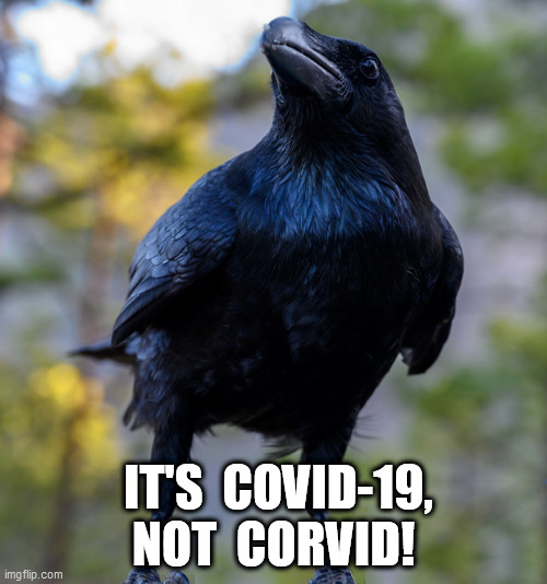 Not Us Crows! | IT'S  COVID-19, NOT  CORVID! | image tagged in covid-19 | made w/ Imgflip meme maker