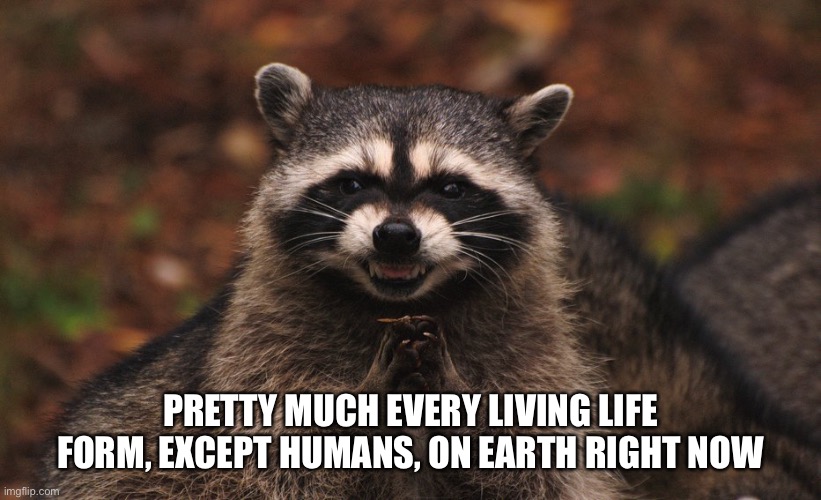 PRETTY MUCH EVERY LIVING LIFE FORM, EXCEPT HUMANS, ON EARTH RIGHT NOW | image tagged in coronavirus,corona virus,corona,2020,pandemic | made w/ Imgflip meme maker