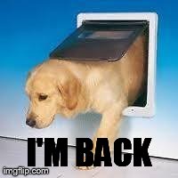 I'M BACK | made w/ Imgflip meme maker