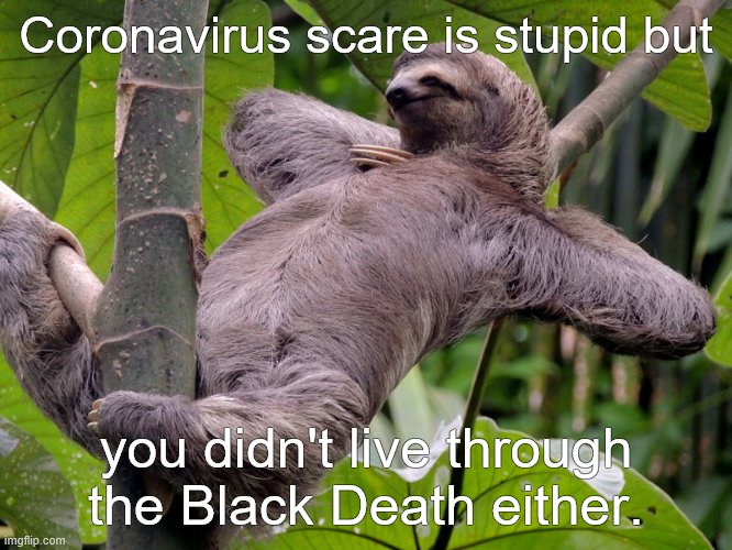 Lazy Sloth | Coronavirus scare is stupid but you didn't live through the Black Death either. | image tagged in lazy sloth | made w/ Imgflip meme maker