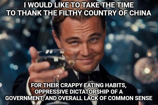 If it weren't for you, we'd all be much better off. | I WOULD LIKE TO TAKE THE TIME TO THANK THE FILTHY COUNTRY OF CHINA; FOR THEIR CRAPPY EATING HABITS, OPPRESSIVE DICTATORSHIP OF A GOVERNMENT, AND OVERALL LACK OF COMMON SENSE | image tagged in memes,leonardo dicaprio cheers,coronavirus,china,made in china | made w/ Imgflip meme maker
