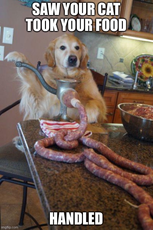 dog sausages | SAW YOUR CAT TOOK YOUR FOOD; HANDLED | image tagged in dog sausages | made w/ Imgflip meme maker