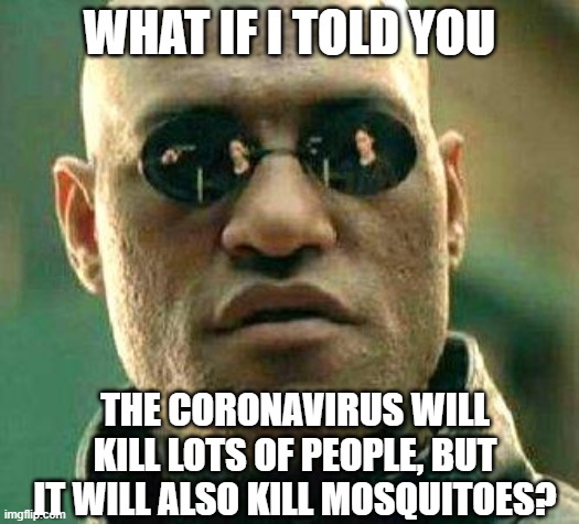 Coronavirus Connundrum | WHAT IF I TOLD YOU; THE CORONAVIRUS WILL KILL LOTS OF PEOPLE, BUT IT WILL ALSO KILL MOSQUITOES? | image tagged in what if i told you,coronavirus | made w/ Imgflip meme maker