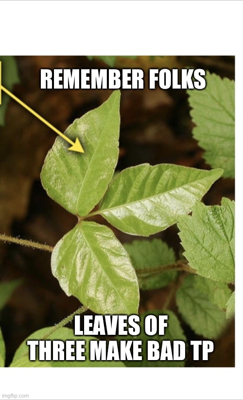 Toilet paper ivy | REMEMBER FOLKS; LEAVES OF THREE MAKE BAD TP | image tagged in toilet paper ivy | made w/ Imgflip meme maker