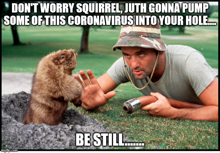 Meanwhile on the Golf links...... | DON'T WORRY SQUIRREL, JUTH GONNA PUMP SOME OF THIS CORONAVIRUS INTO YOUR HOLE.... BE STILL....... | image tagged in caddyshack,coronavirus | made w/ Imgflip meme maker