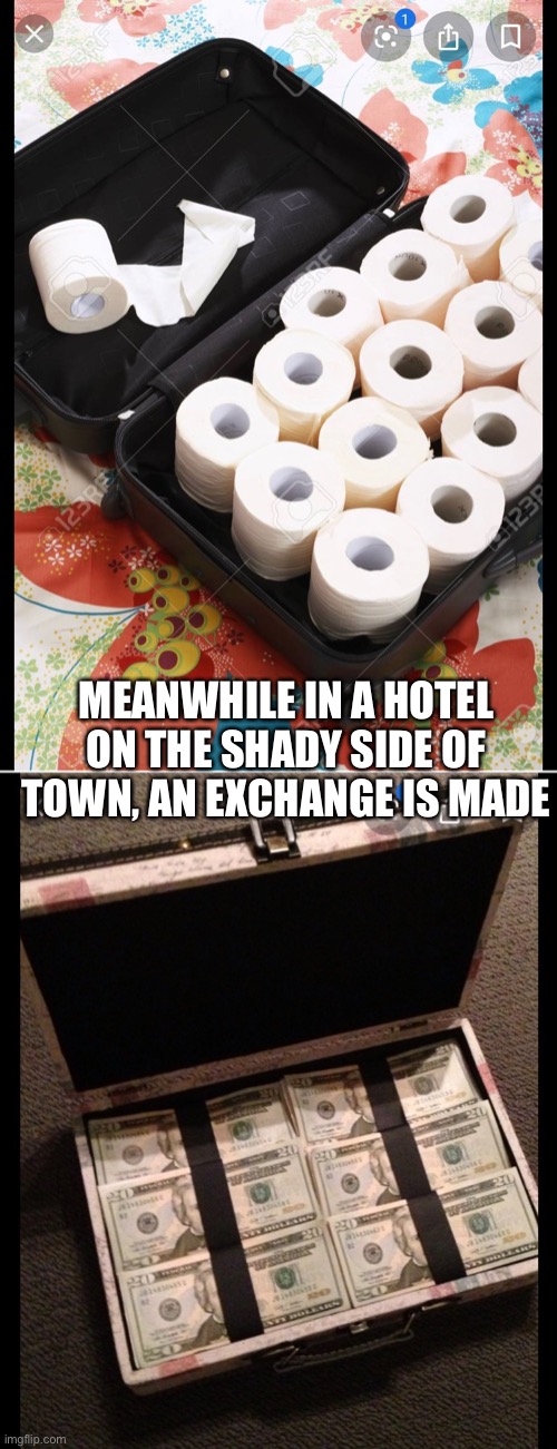 The exchange | MEANWHILE IN A HOTEL ON THE SHADY SIDE OF TOWN, AN EXCHANGE IS MADE | image tagged in toilet paper | made w/ Imgflip meme maker